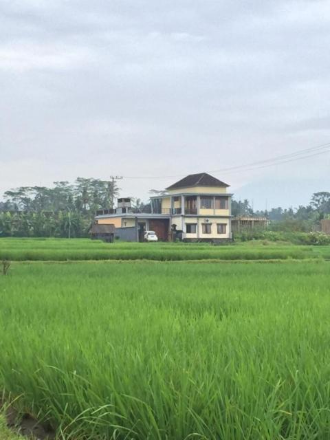 Rumah Kuning Tegallalang  Exterior photo
